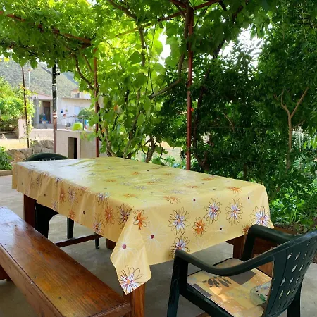 Olive Apartment